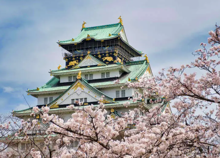 오사카 벚꽃 개화 시기